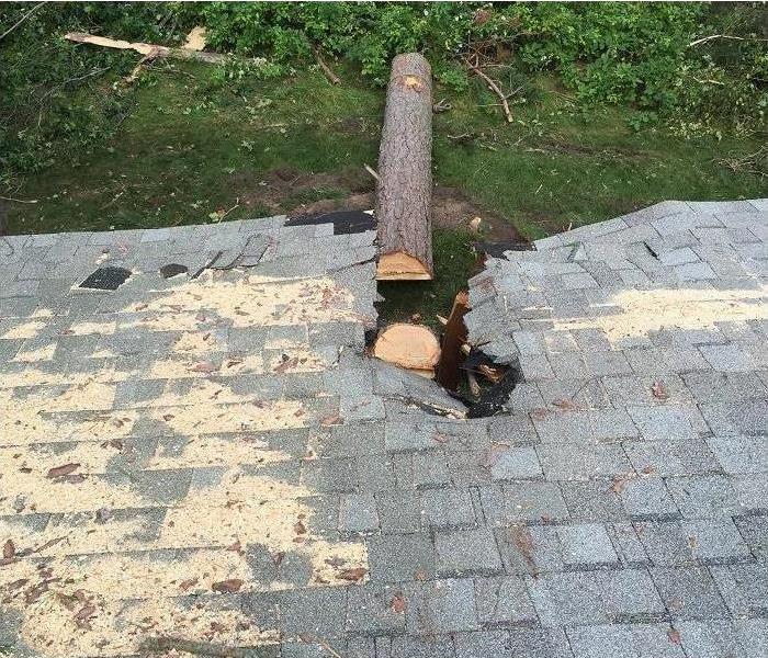 tree limb, now cut, broken roof line, gray shingles