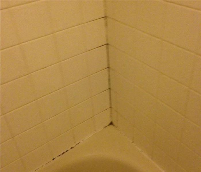 mold stains on corner in groutlines of tiled tub