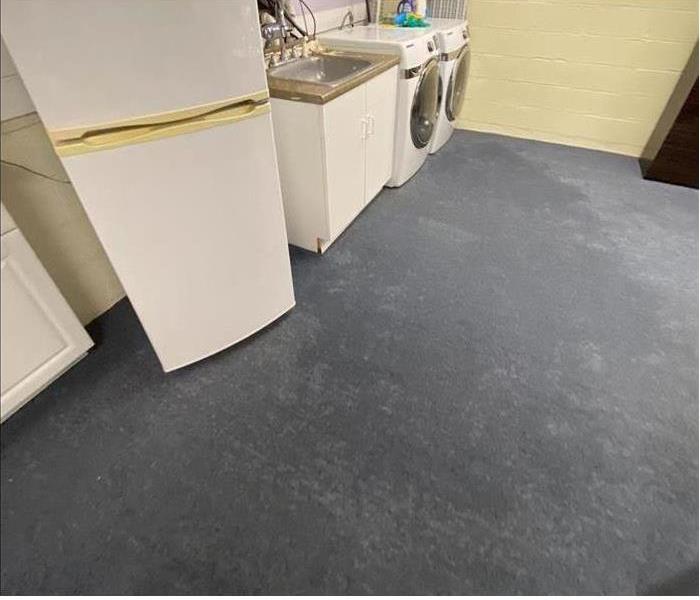 soaked gray carpet in the basement by washing machine