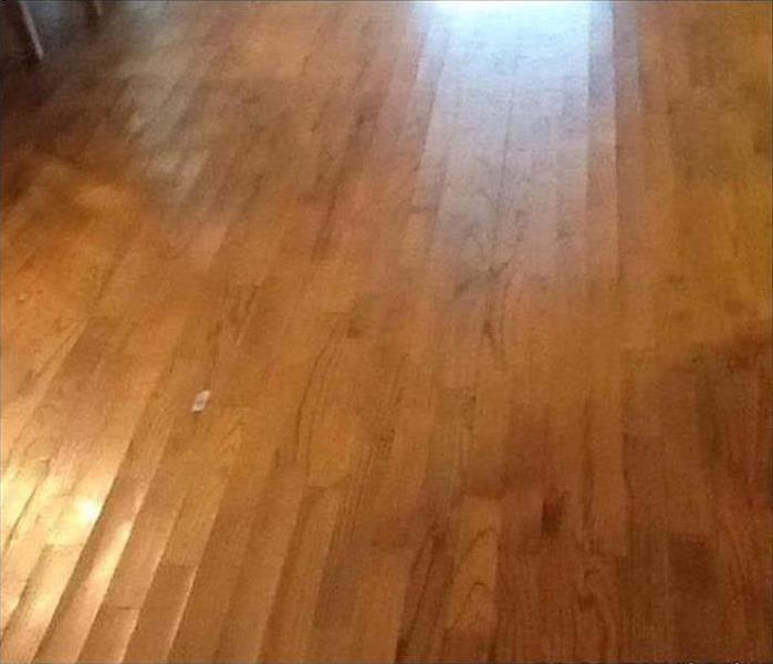 visible cupping of hardwood floor boards