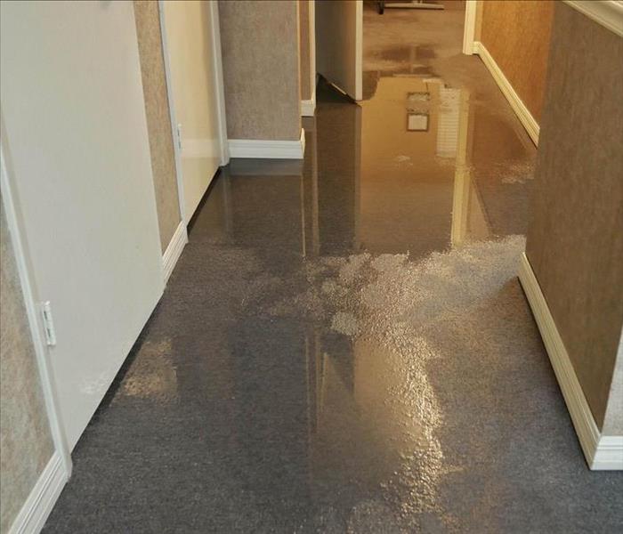 water pooling on carpet in a hallway