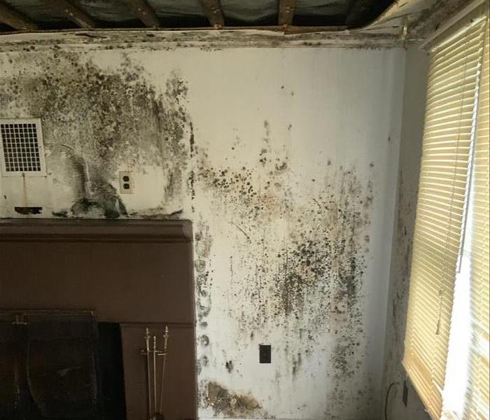mold on walls, damaged ceiling 